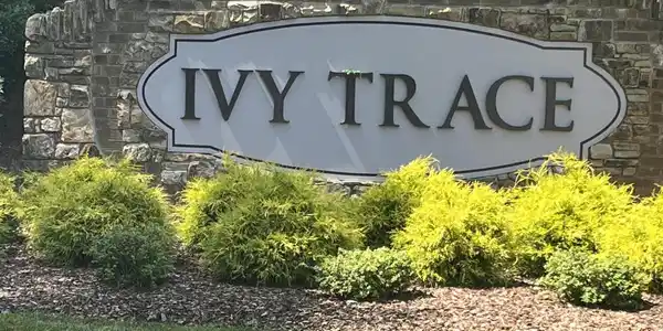 Lot 44 English Ivy Trail