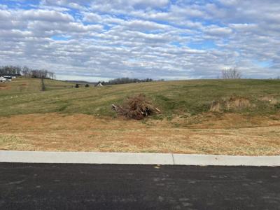 Lot 28 Cattleman's Trail