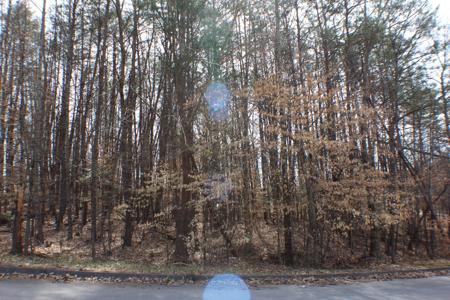 2030 Scenic Pointe Place