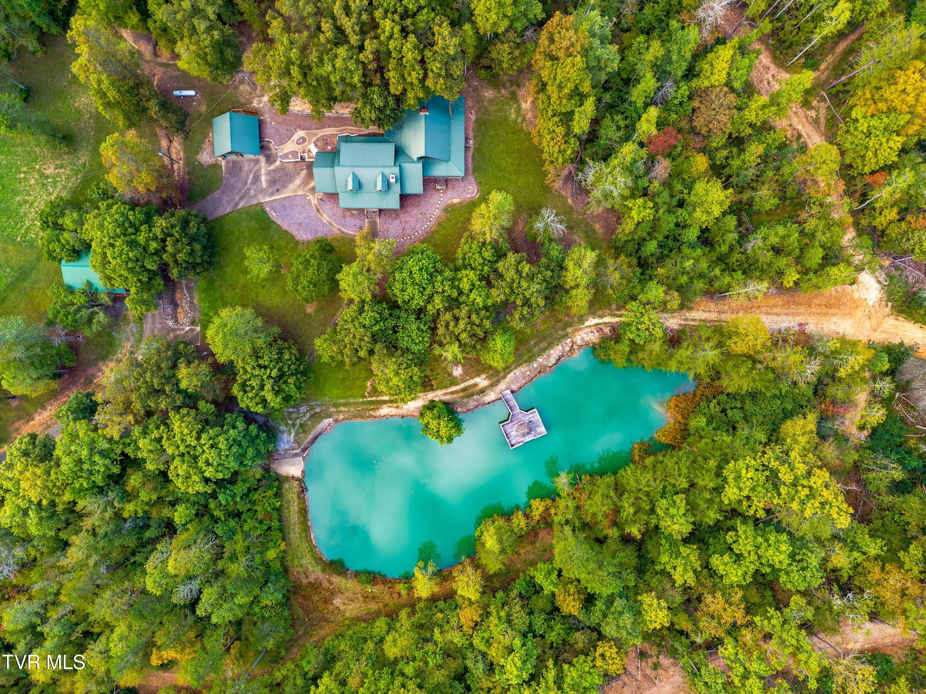 Image 2: Dye just added to pond