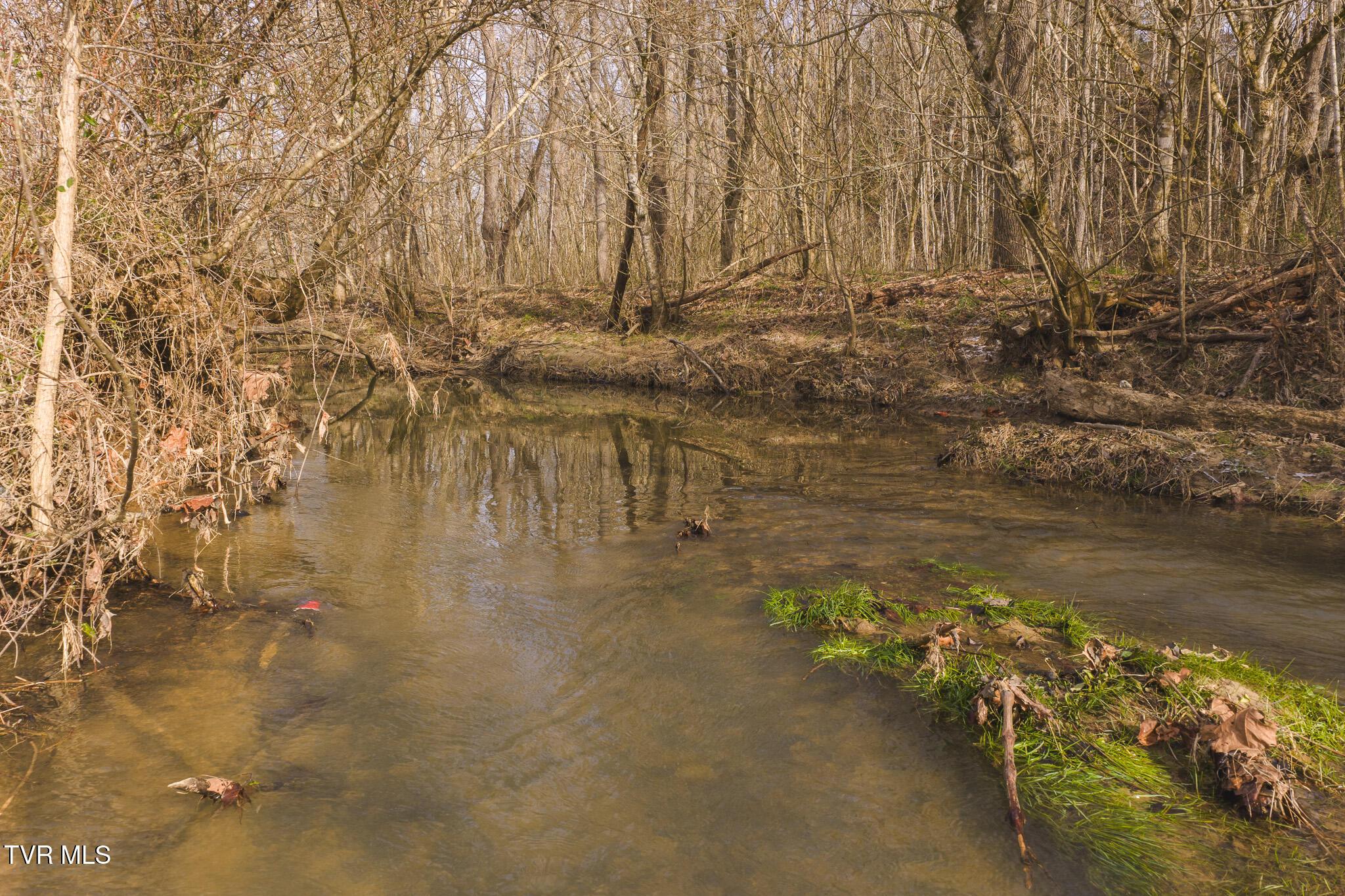 Image 4: DJI_20260129145542_0033_D
