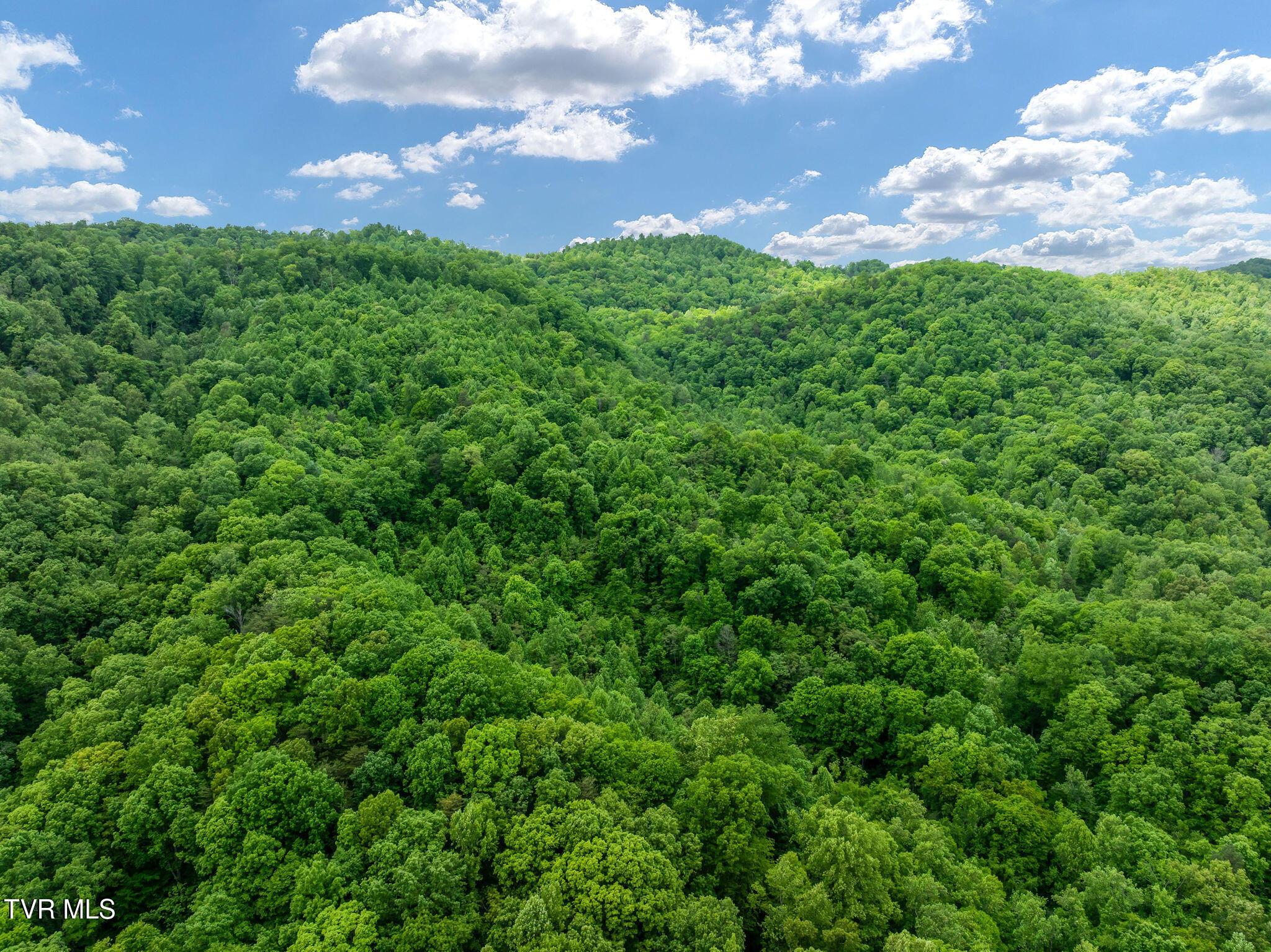 Image 4: DJI_0001