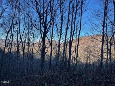 Lot 13 Eagle Ridge Road