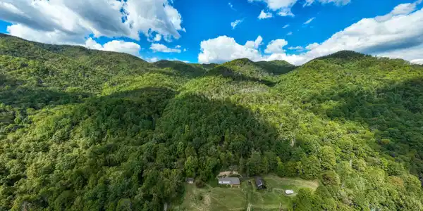 Image 2: TBD Roan Creek Rd (2 of 17)