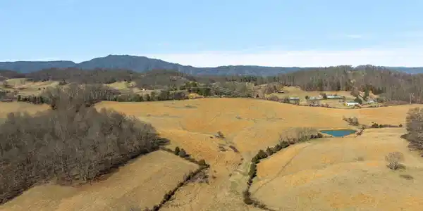 Image 2: Aerial view