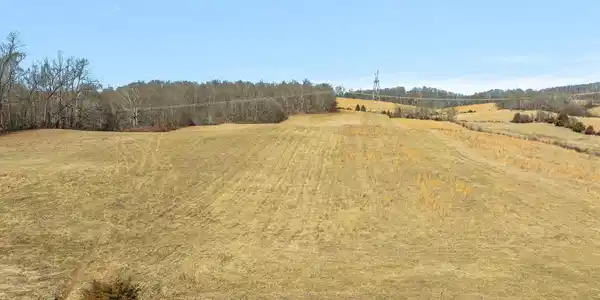 Image 4: Lot 6