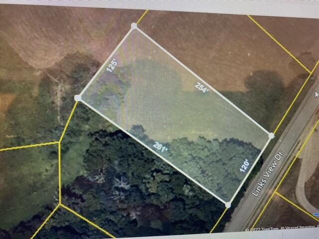 Image 1: Lot 19