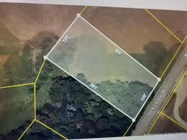 Image 1: Lot 19