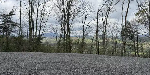 3.93 Acres Green Forest Road