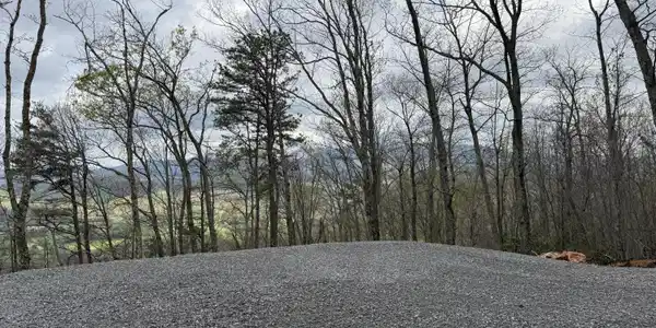Image 2: 11