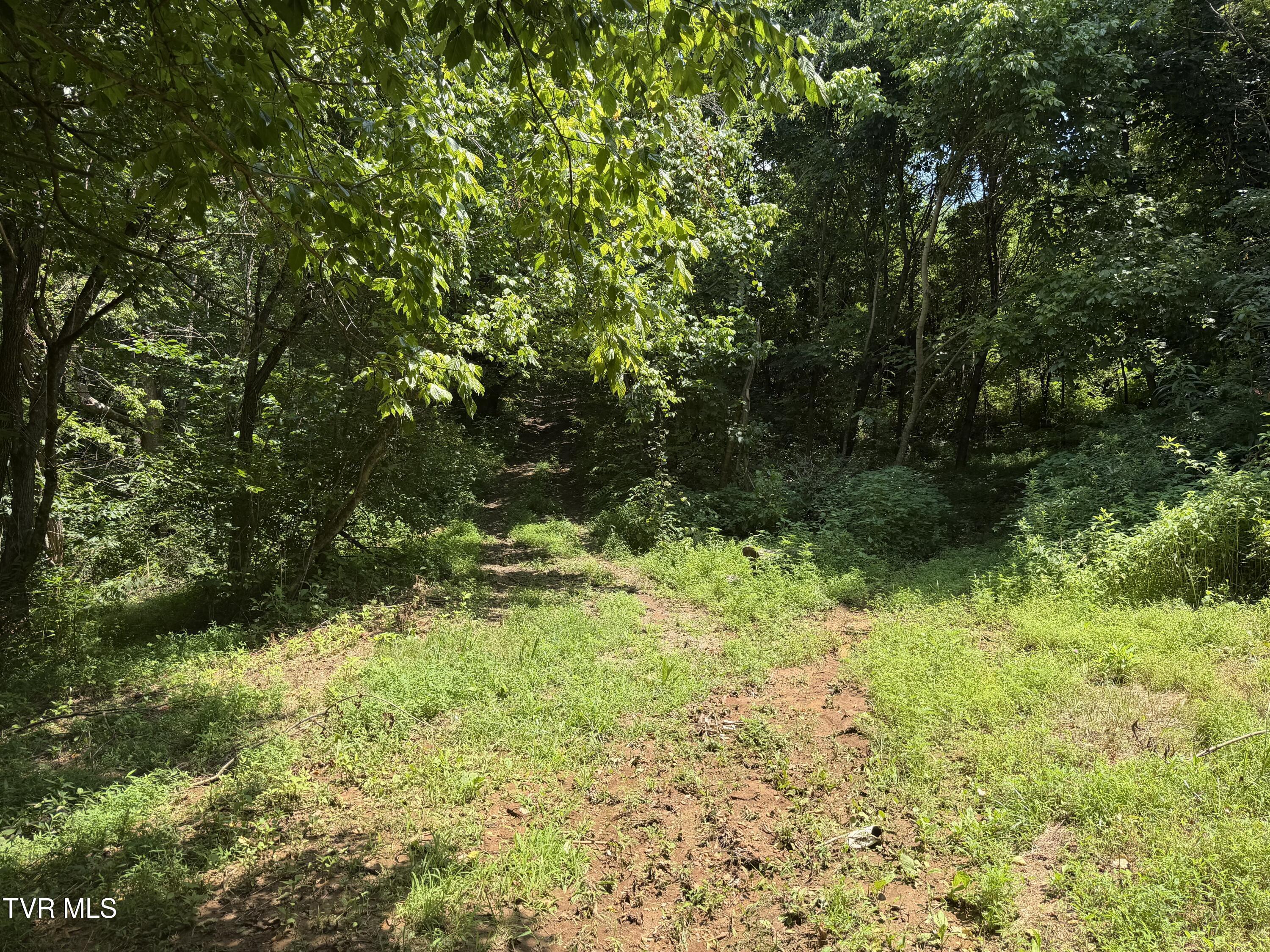 Image 3: IMG_1107