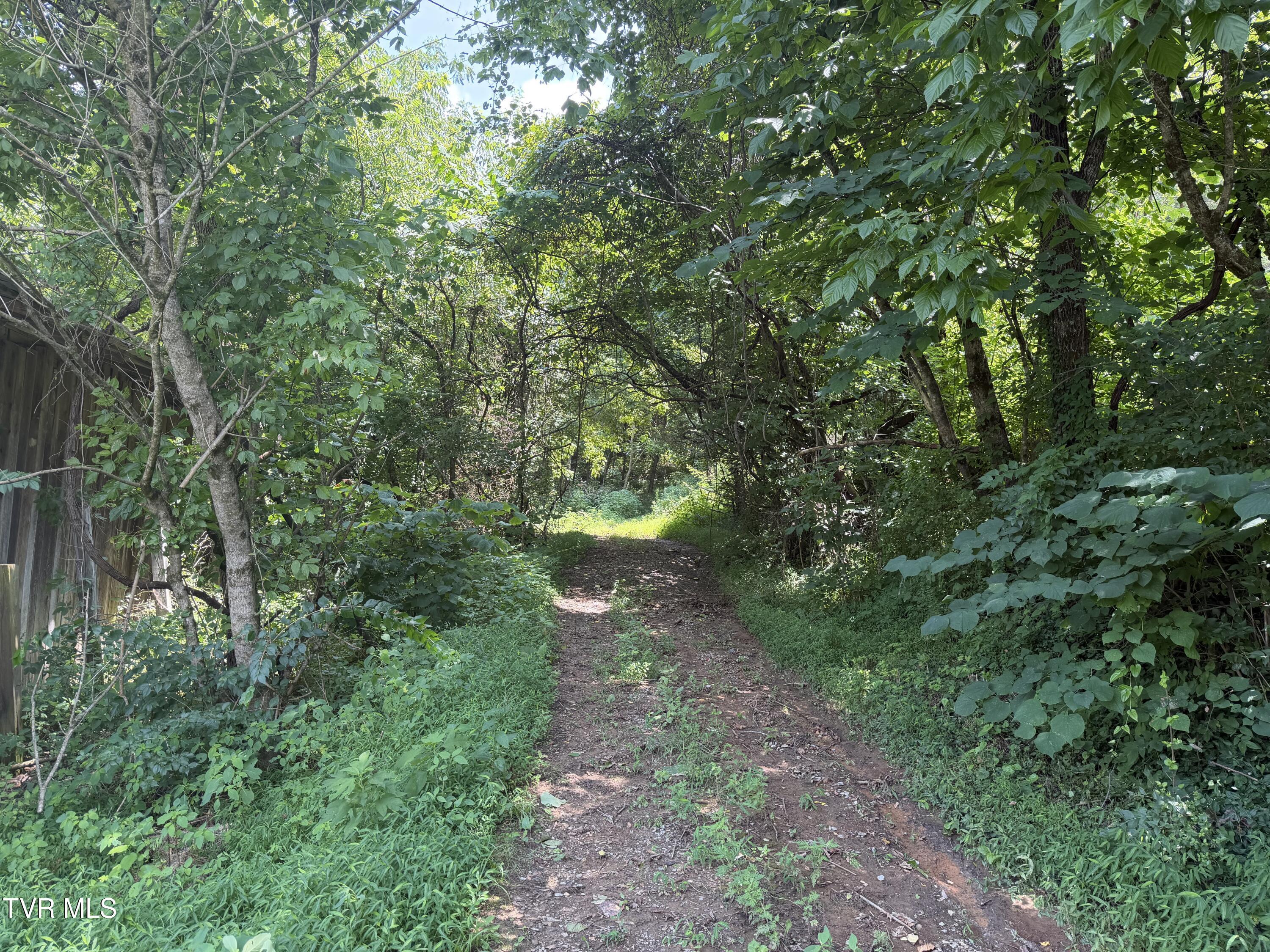 Image 4: IMG_1106
