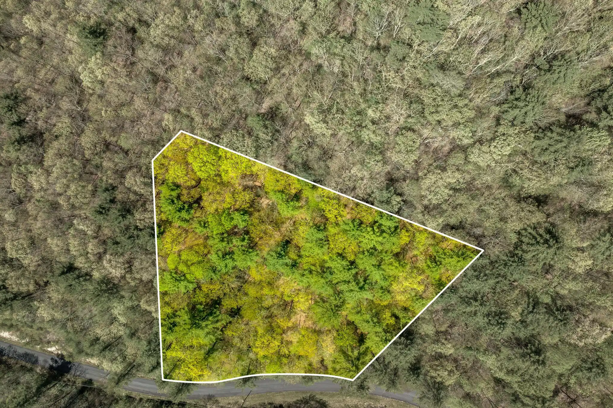 Image 1: LOT 9 (11 of 15)