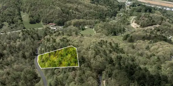 Image 2: LOT 9 (9 of 15)
