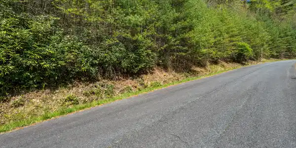 Image 3: LOT 9 (13 of 15)