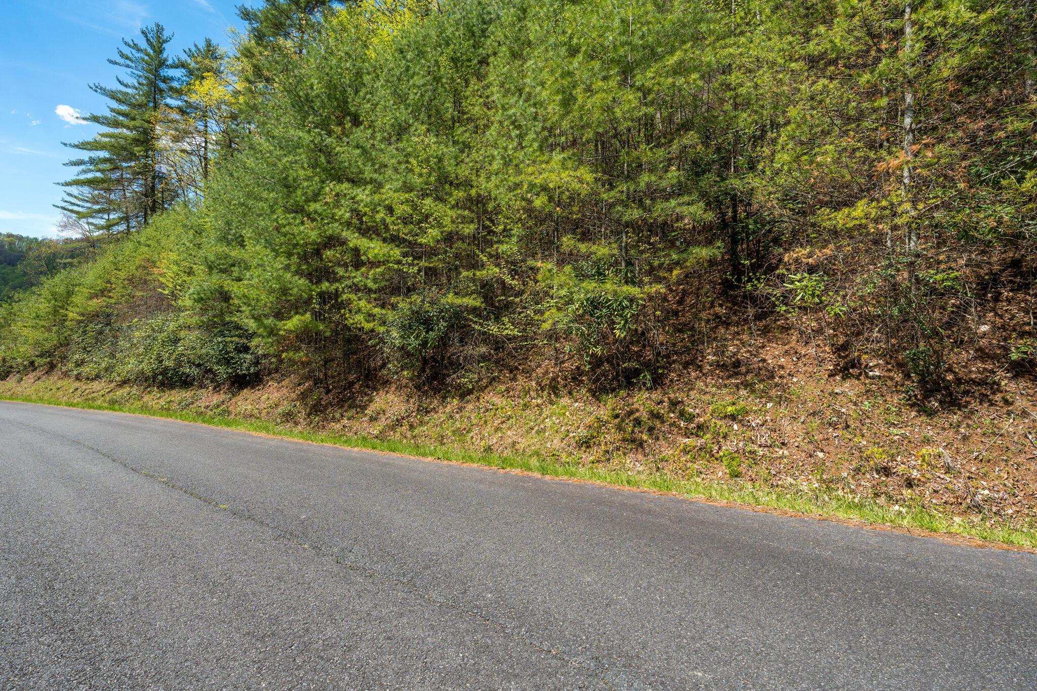Image 4: LOT 9 (15 of 15)