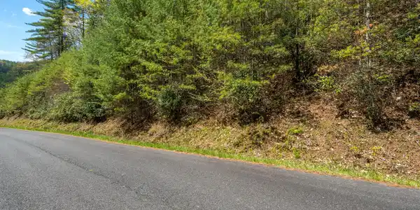 Image 4: LOT 9 (15 of 15)