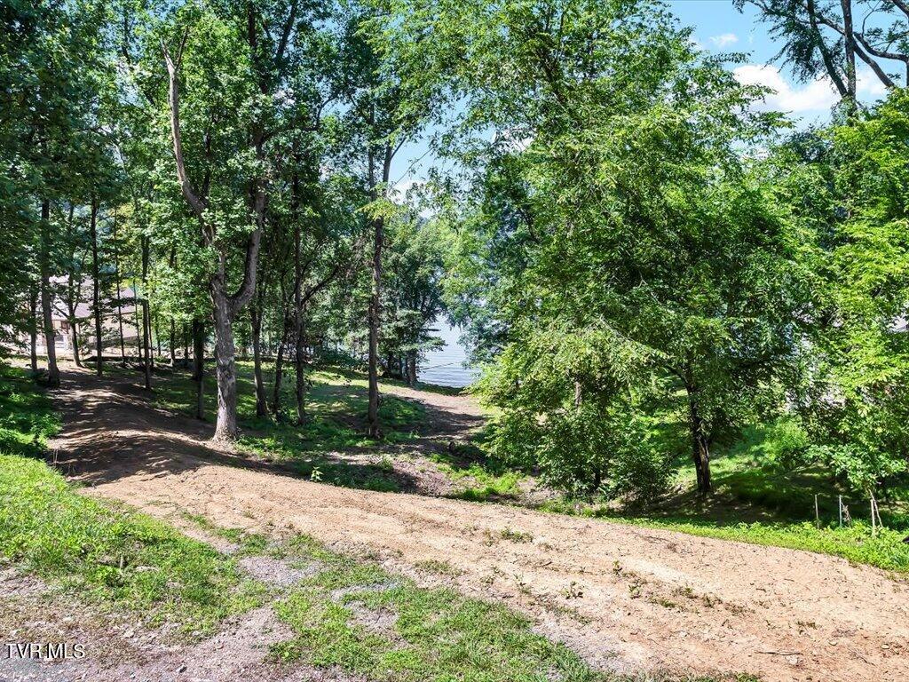 Image 3: Lot 11 Walnut Bend Dr - 3