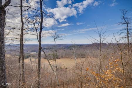 309 Holston Mountain Road