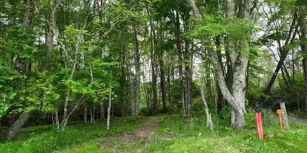 1762 Ripshin Mountain Road