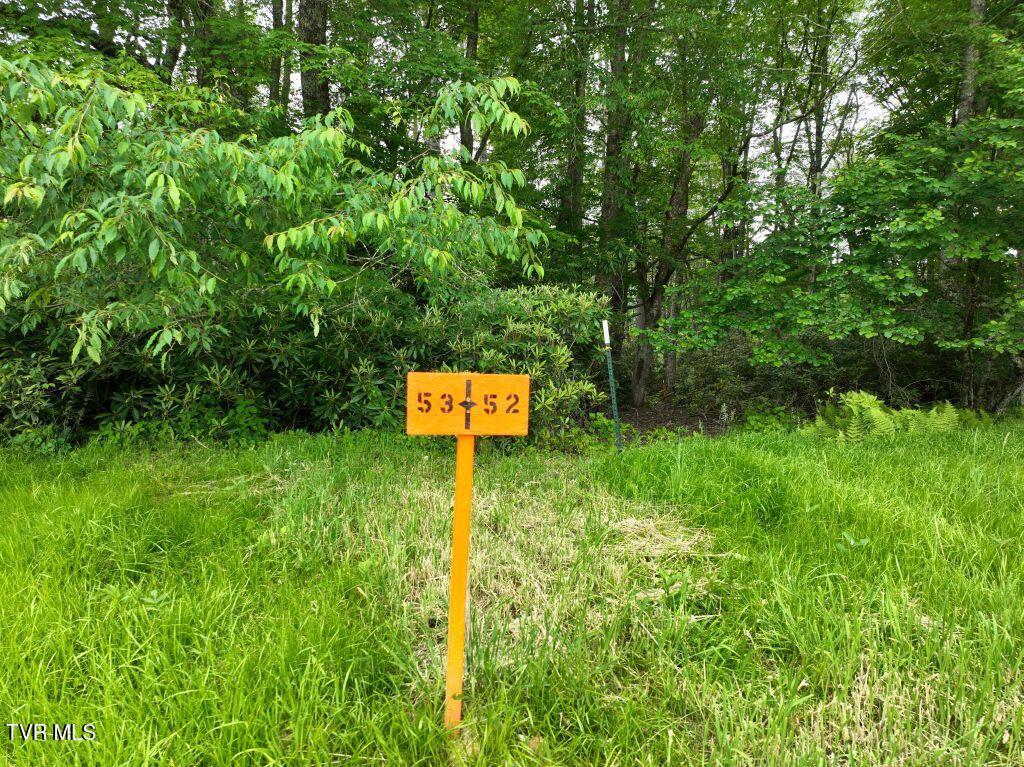 Image 3: DJI_0063