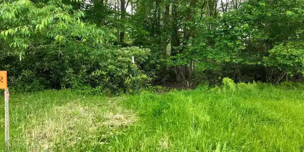 Image 4: DJI_0064