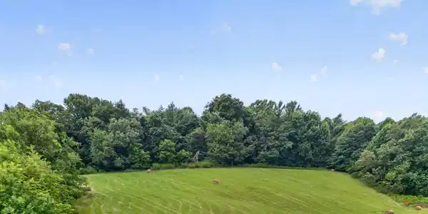 Image 3: DJI_0255