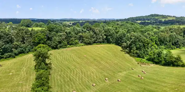 Image 4: DJI_0256