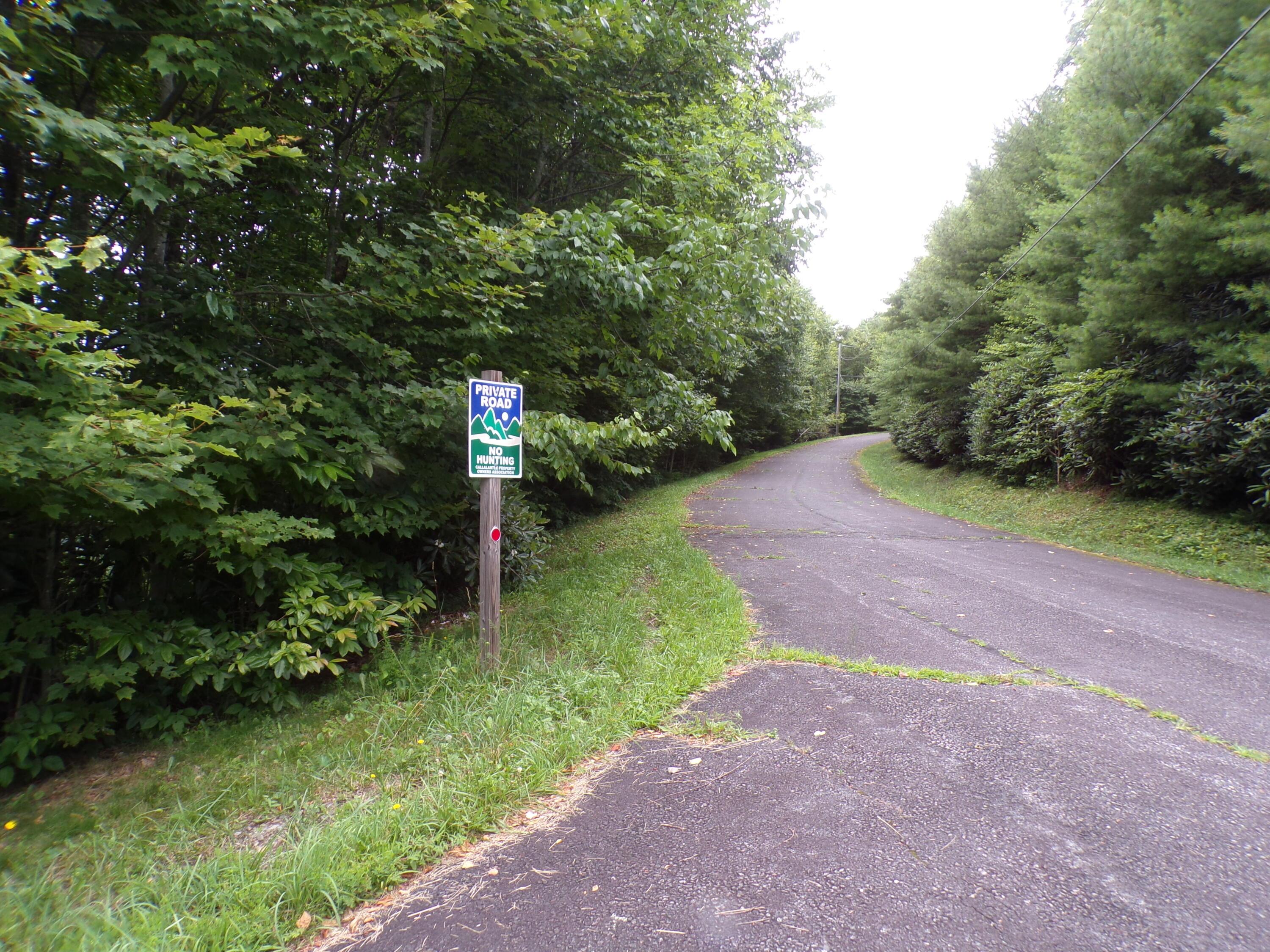 Image 3: 103_7634