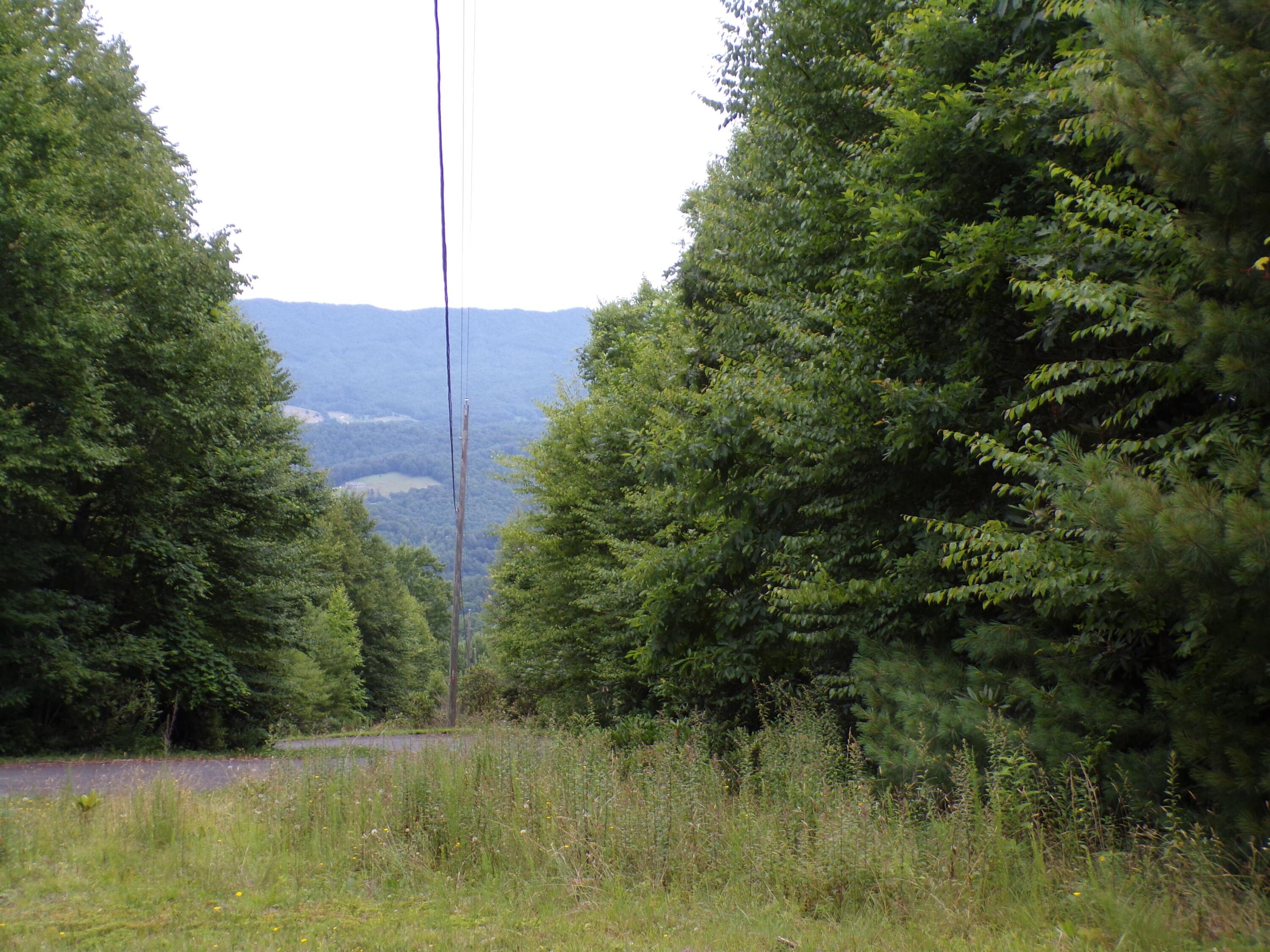 Image 4: 103_7632