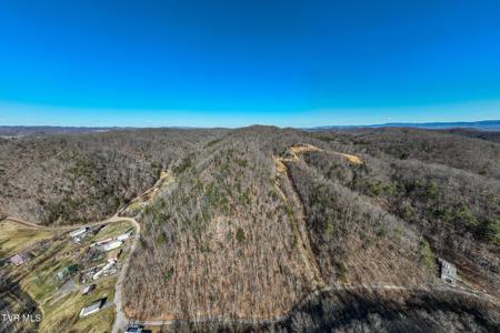 Tbd Old Carden Hollow Road