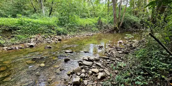 Image 2: 2