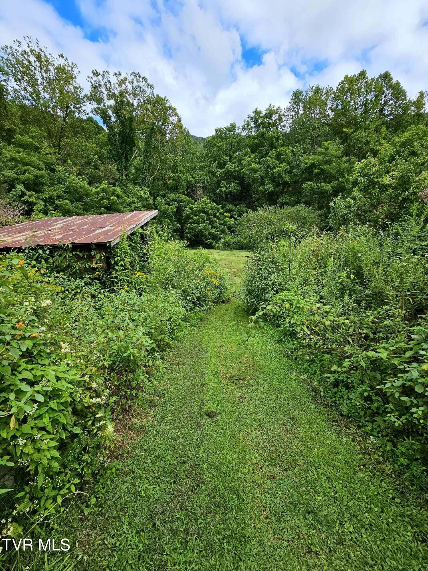 Image 4: 4