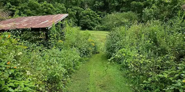Image 4: 4