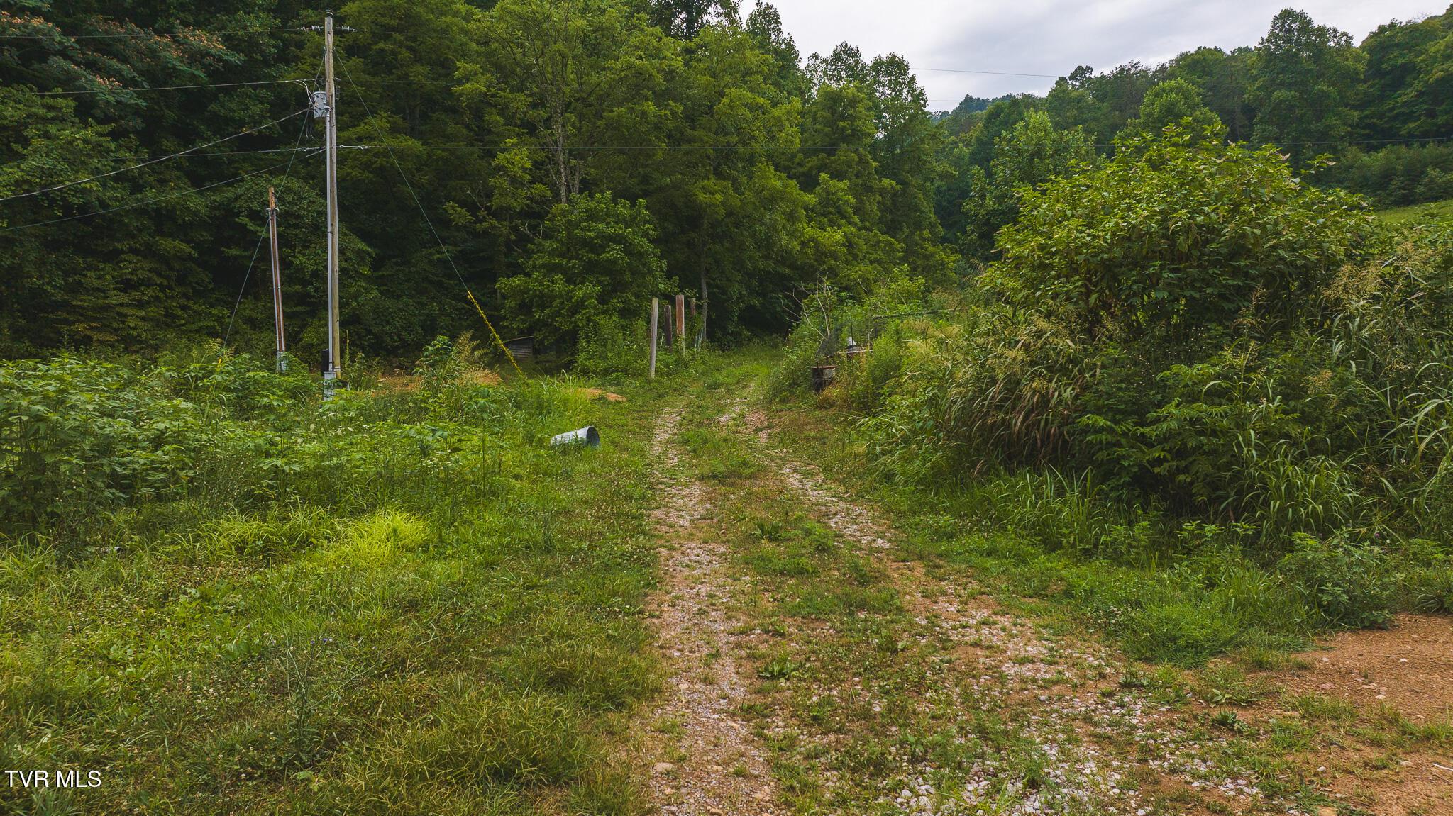 Image 3: DJI_20230911121449_0060_D