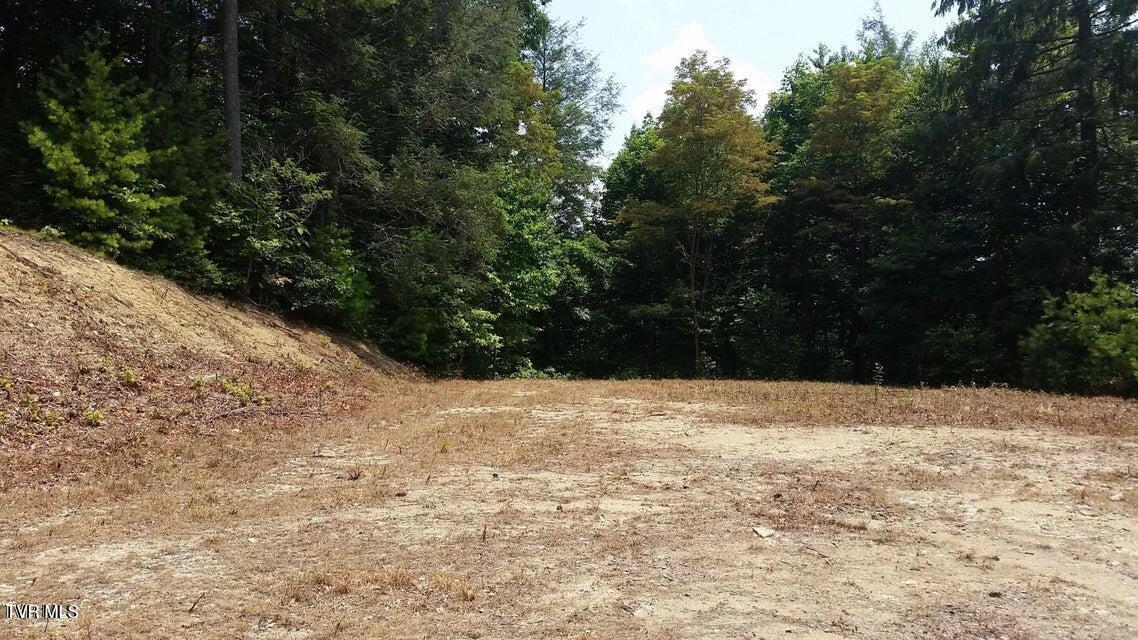 Image 2: Lot 1 - 1