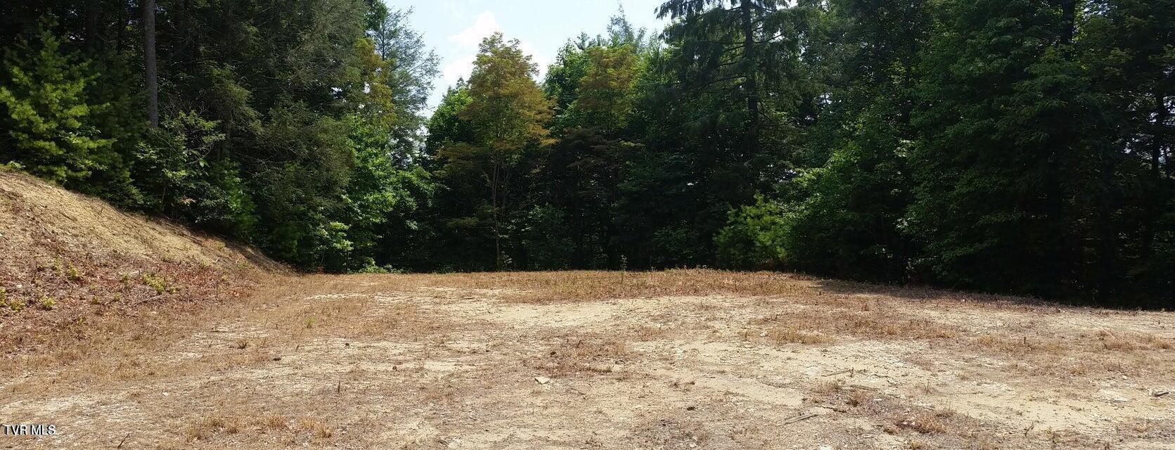 Image 4: Lot 1 - 3