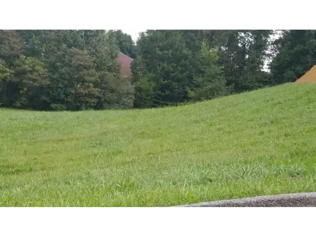Image 1: Photo 1
