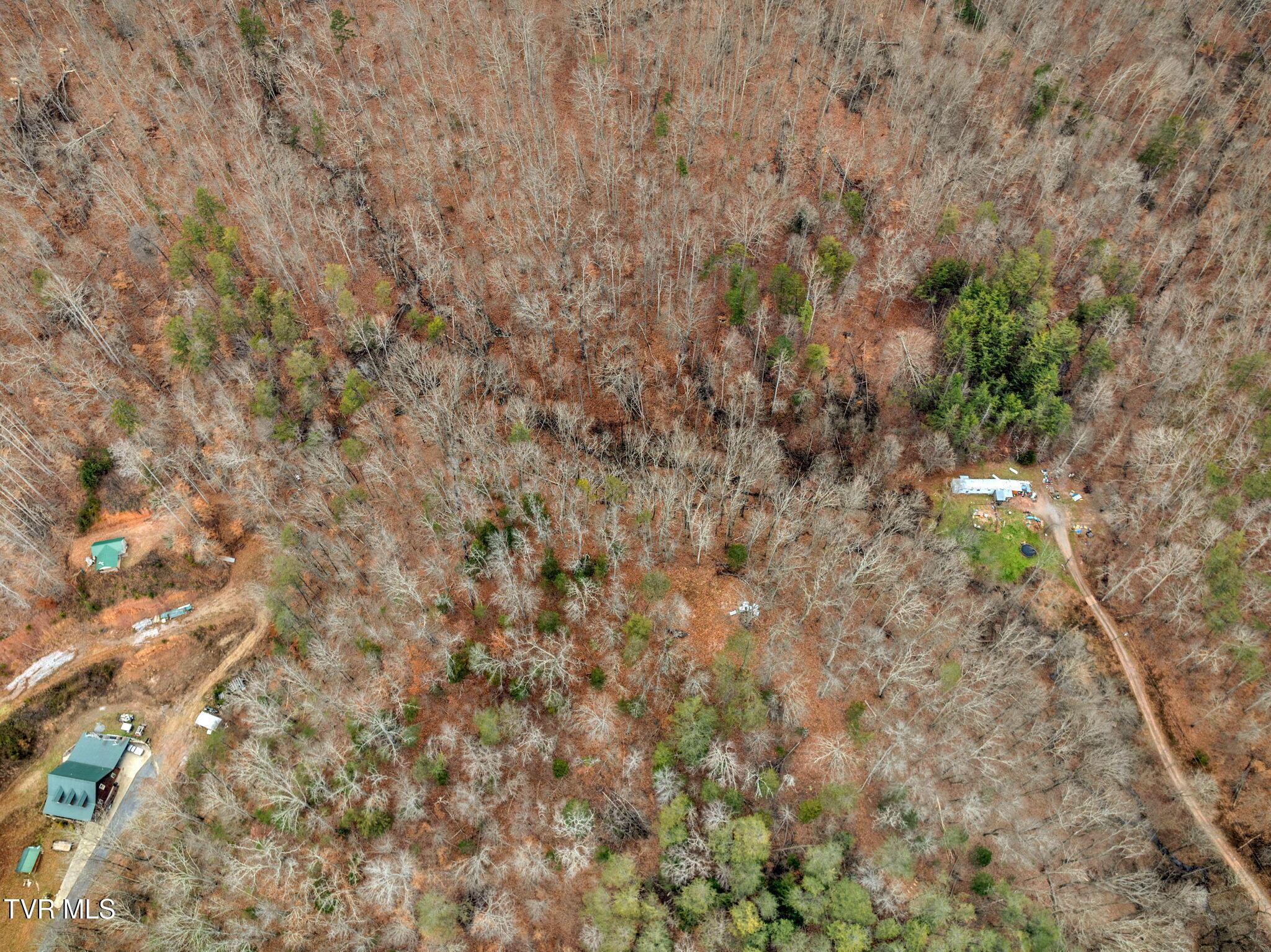 Image 3: 13-web-or-mls-JH 20250108-049