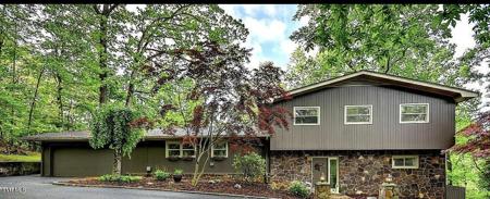 124 Skyline Drive