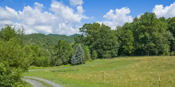 Image 4: 2-web-or-mls-DJI_20260612111555_0231_D
