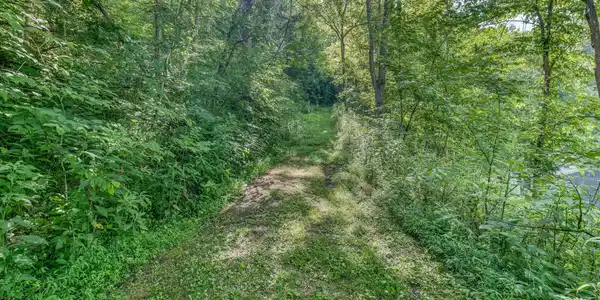 Image 3: TBD Fire Tower Rd-21