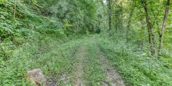 Image 4: TBD Fire Tower Rd-22