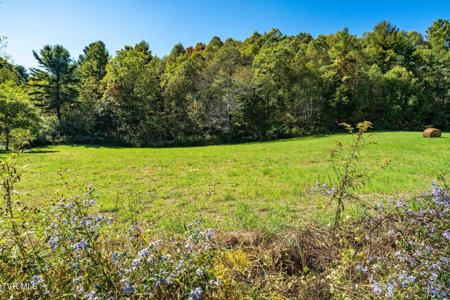 Tbd Spear Branch Road