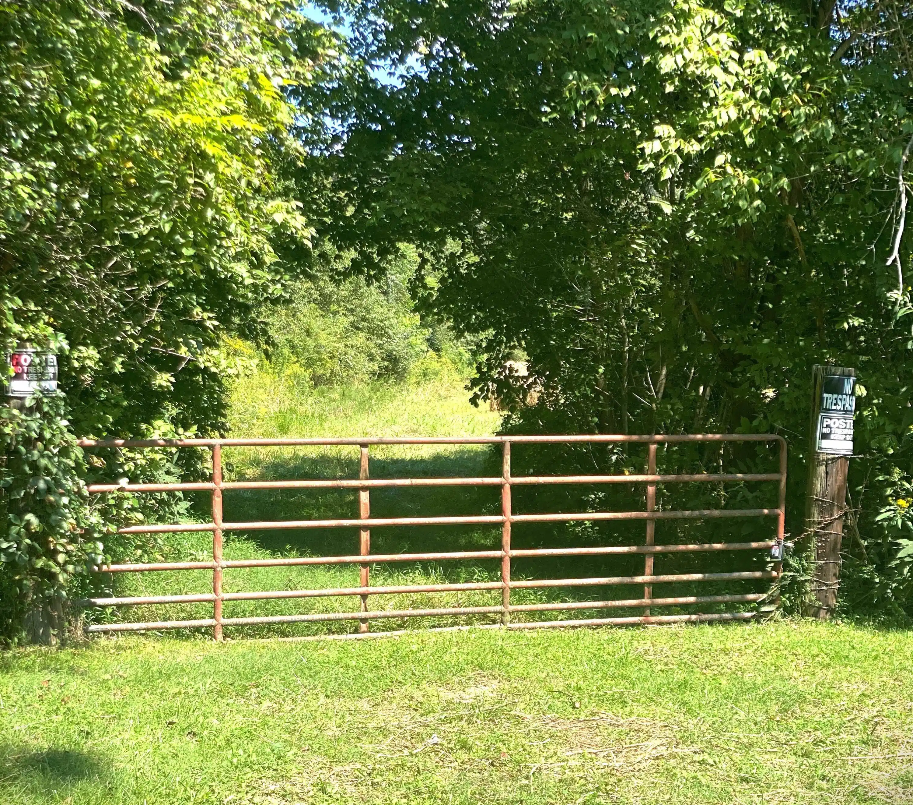 Image 1: Gate Entrance to 2 acres of cleared land