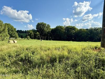 Tbd Horseshoe Bend Road