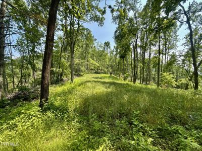 99/Ac Tbd Nw Of Copperhead Hollow Road