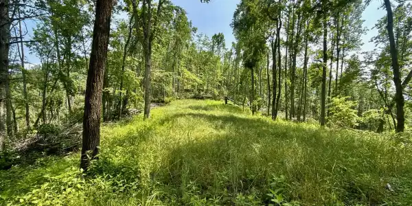 99/Ac Tbd Nw Of Copperhead Hollow Road