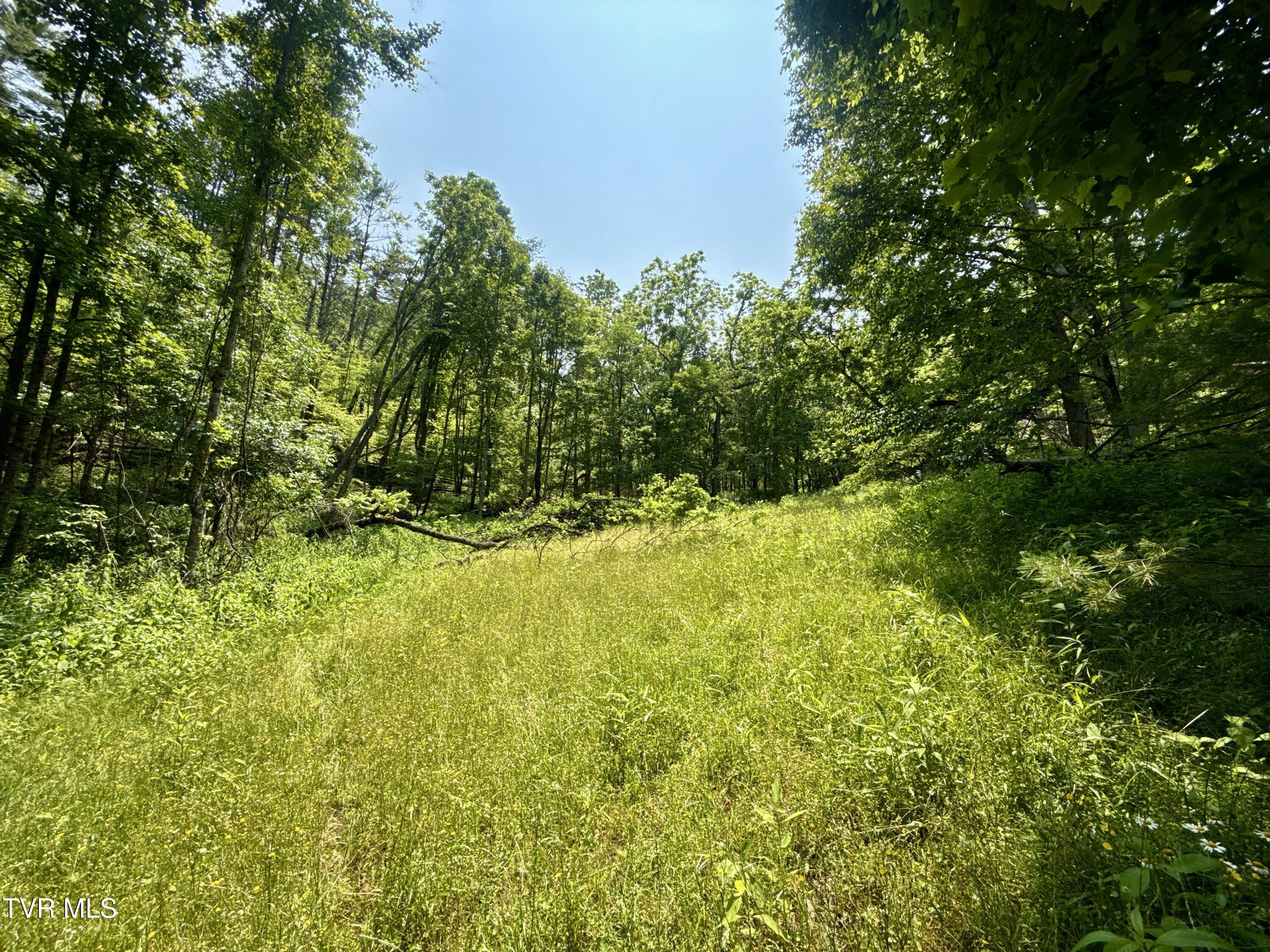 Image 2: _Pic2jpg