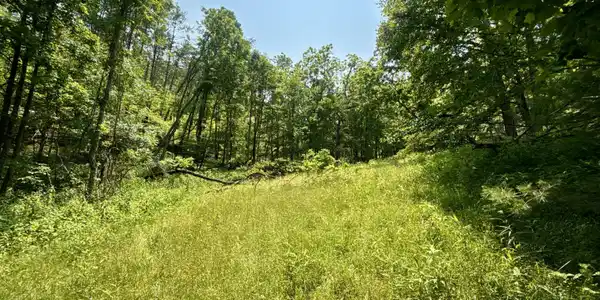 Image 2: _Pic2jpg